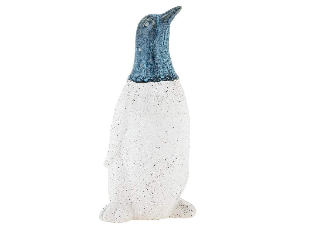 Pinguino Atlantico