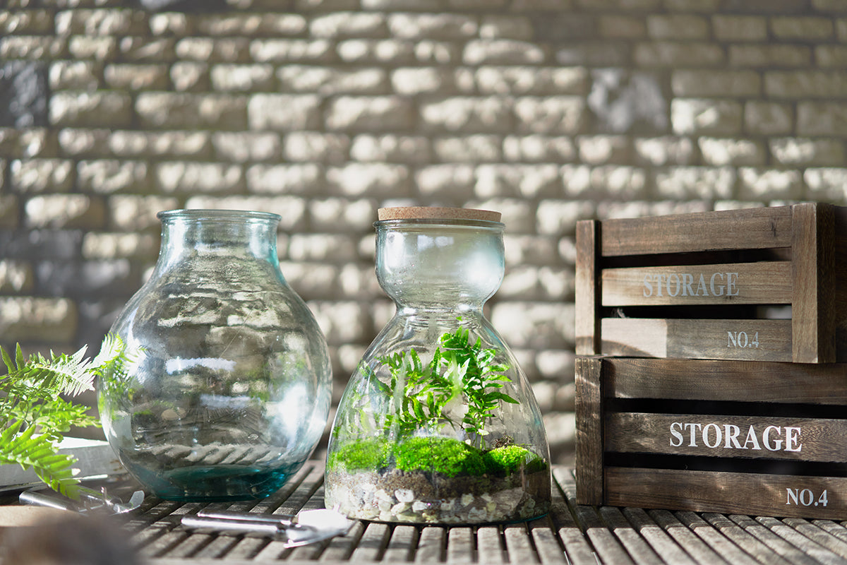 Vaso Terrarium  tondo in vetro riciclato