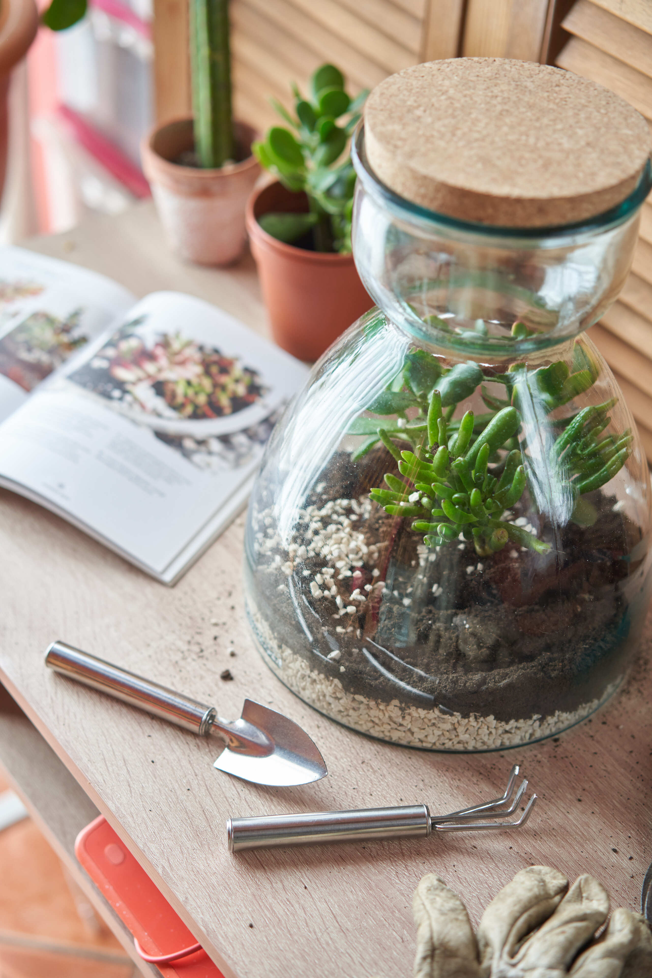 Vaso Terrarium in vetro riciclato