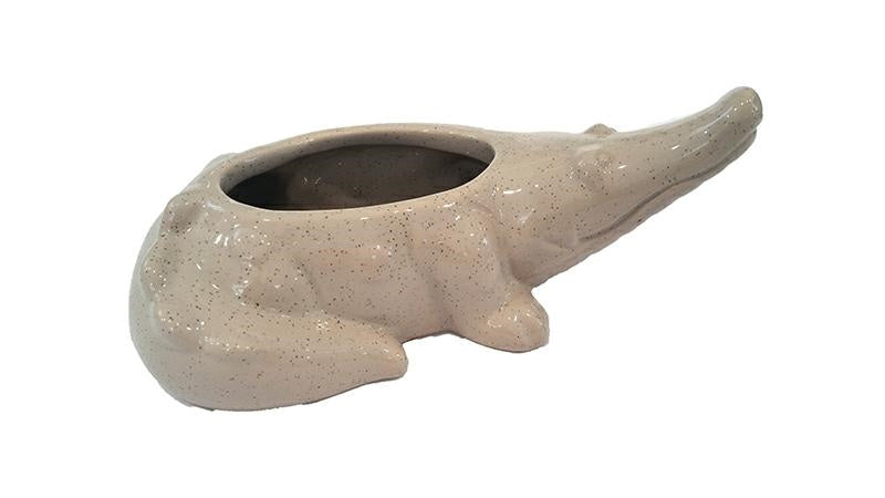 Porta piante Coccodrillo Mediterraneo tortora